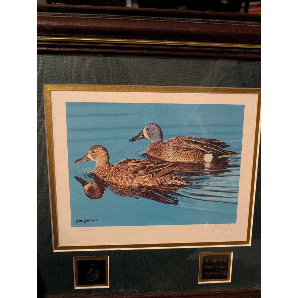 1991 ARIZONA - Migratory Waterfowl Duck Stamp Print Best of state Brian Jarvi